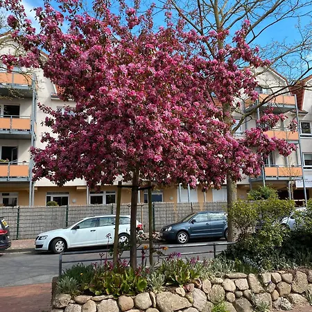 Dommel * קושהאבן