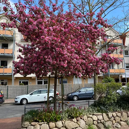 Dommel Appartement Cuxhaven